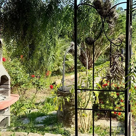 Olivo Al Mare - By Host4u Daire Dolcedo