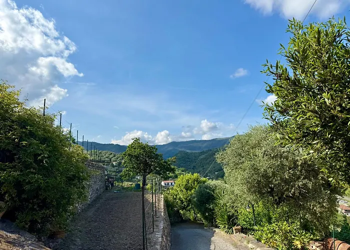 Διαμέρισμα Host4U - Olivo Al Mare Beautiful Apartment With Outside Area And Private Parking In Dolcedo Dolcedo