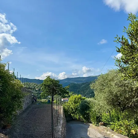 Appartamento Olivo Al Mare - By Host4u Dolcedo